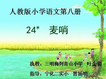 24.麦哨(三明十中附小叶金菊)