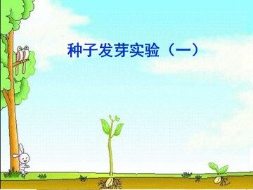 种子发芽实验（一）_课件1