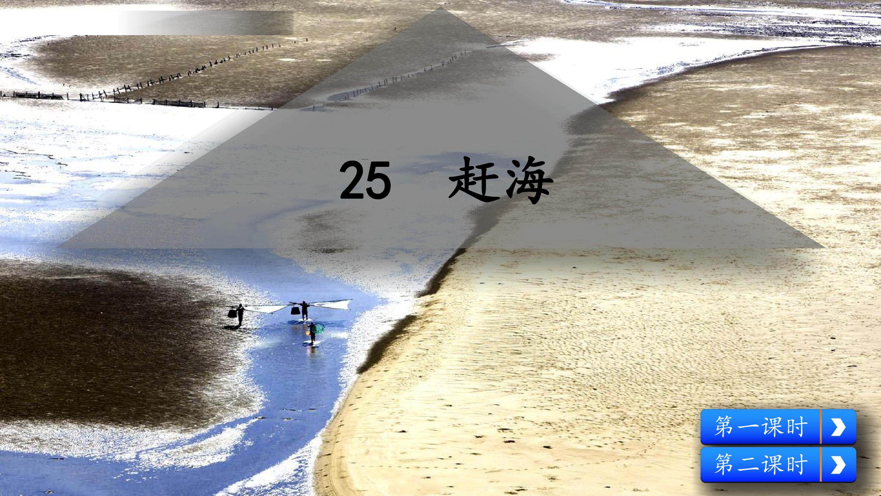 赶海