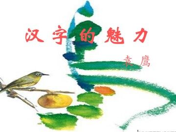 汉字的魅力_课件1