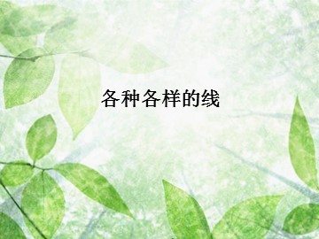 各种各样的线_课件1