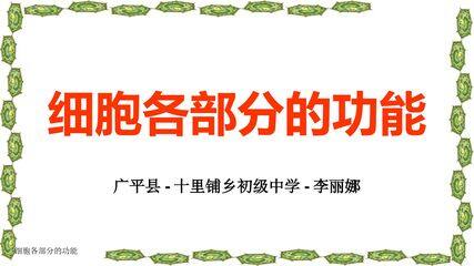细胞的各部分功能