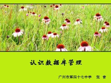认识数据库管理