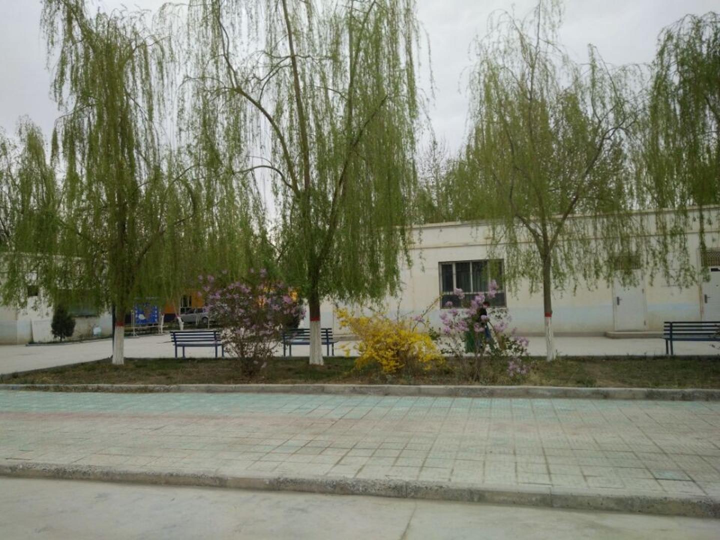9.jpg