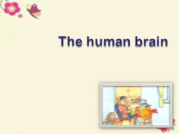 The human brain_课件1