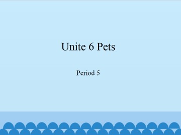 Unit 6 Pets（Period 5）_课件1