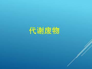 代谢废物_课件1