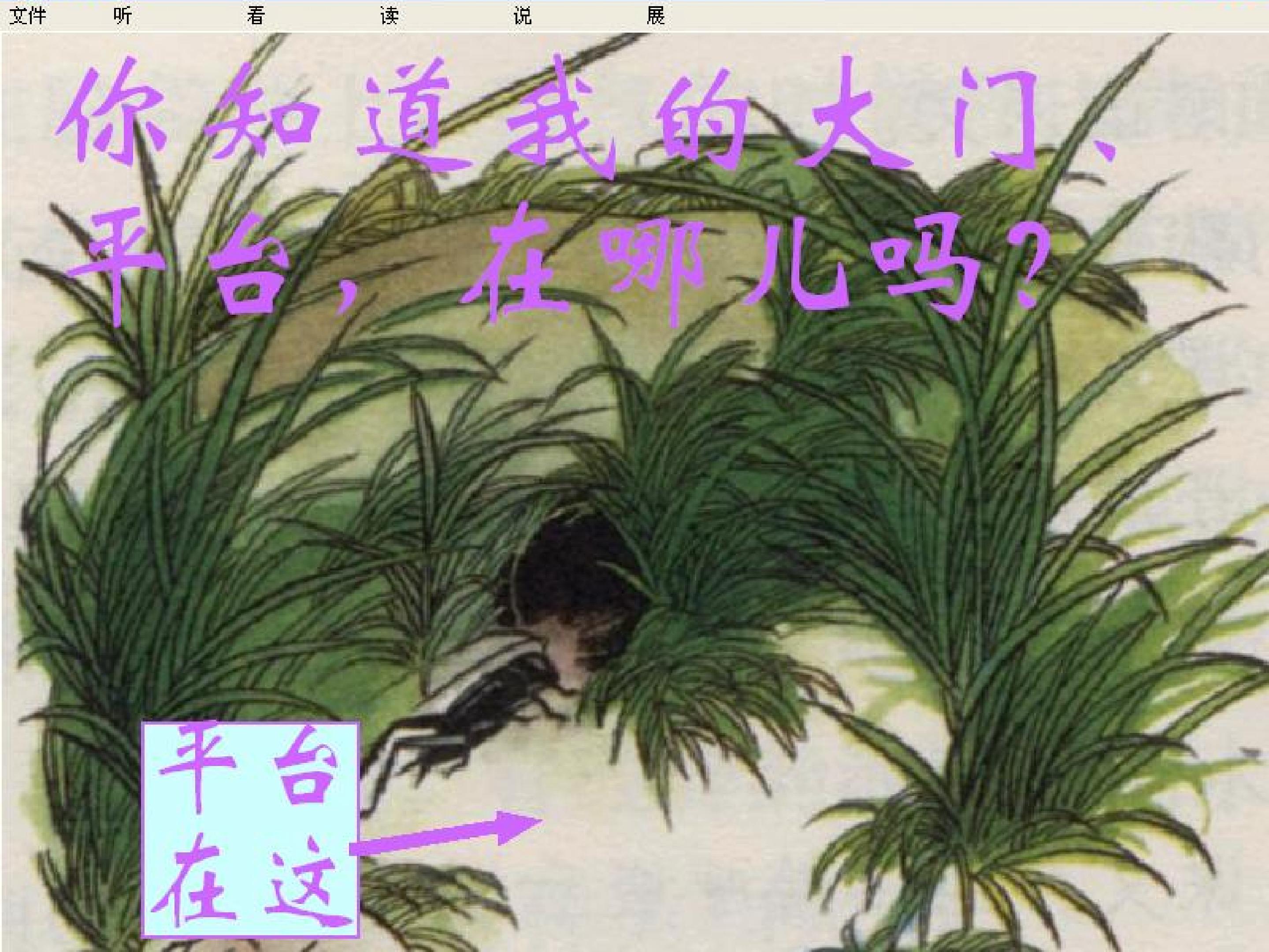 14.jpg