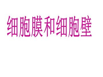 细胞膜和细胞壁_课件1
