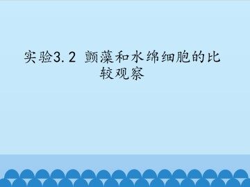 实验3.2 颤藻和水绵细胞的比较观察_课件1