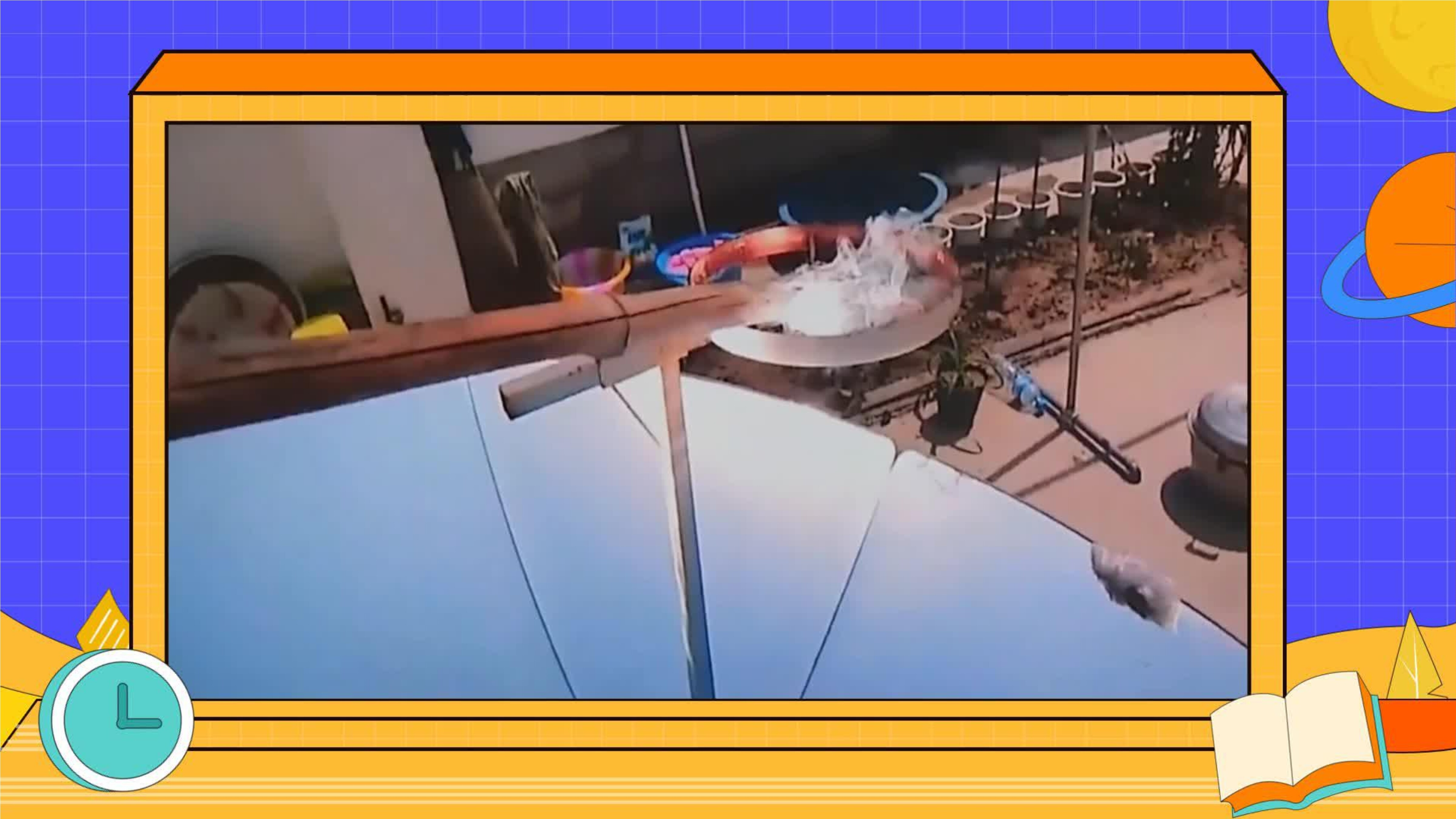 21