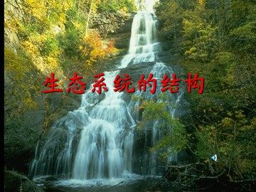 生物高中必修3第五章第一节课件5