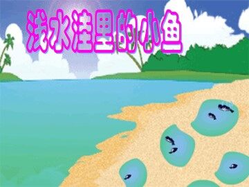 浅水洼里的小鱼_课件3