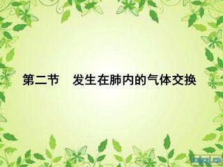 发生在肺内的气体交换