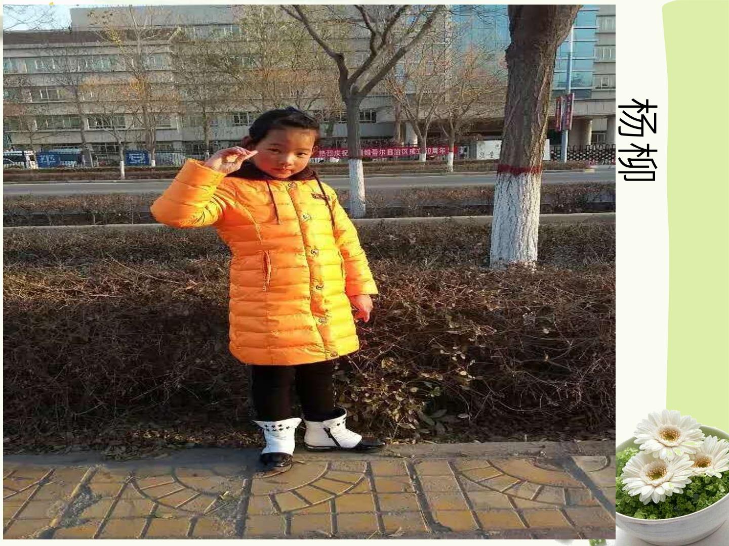 43.jpg