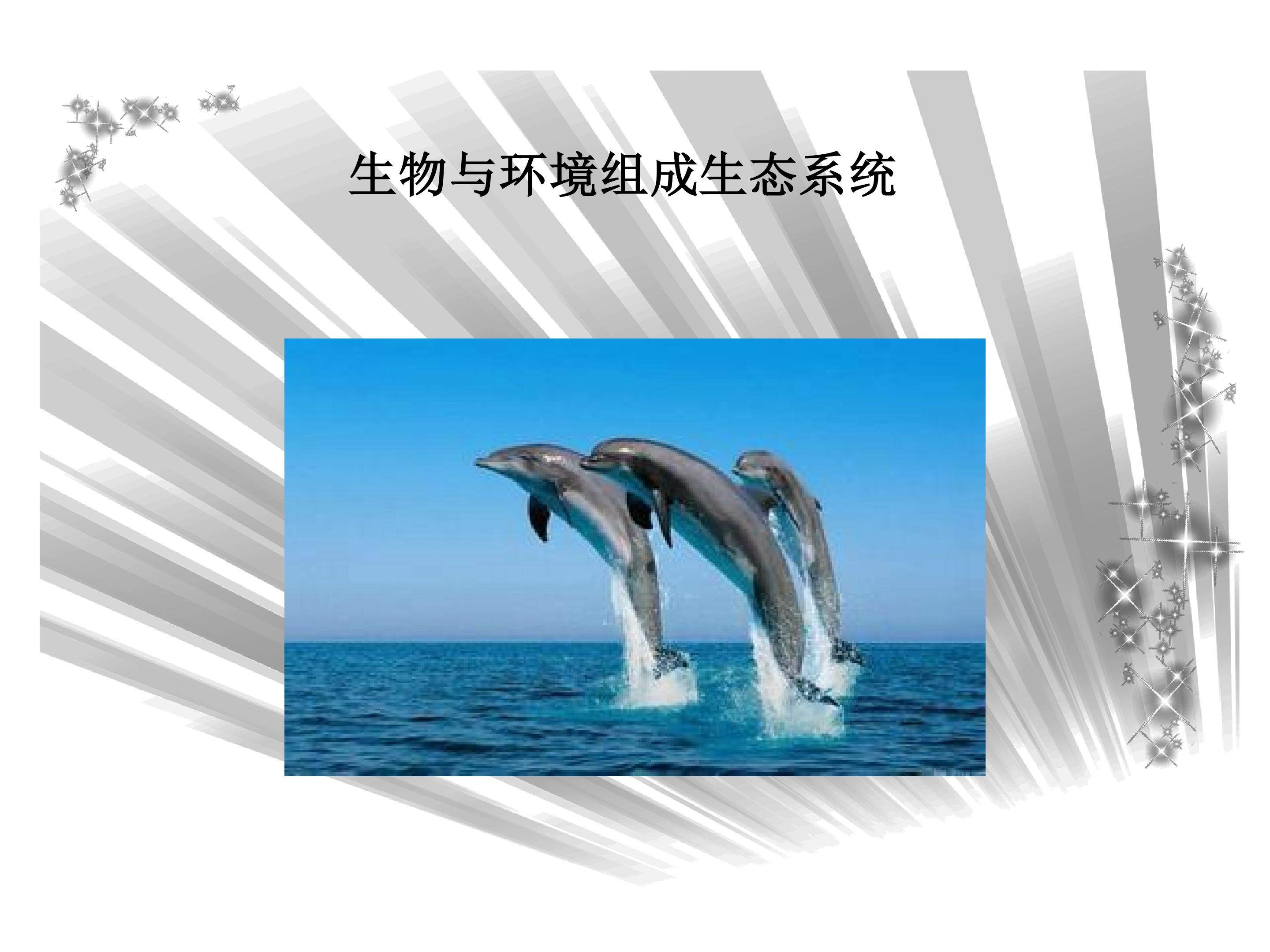 生物与环境组成生态系统_课件1