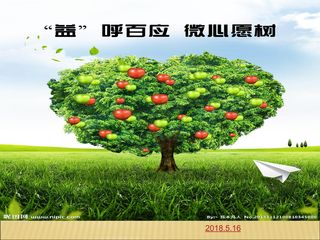神经系统的组成