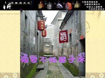 第三节 生活中两种常见的有机物