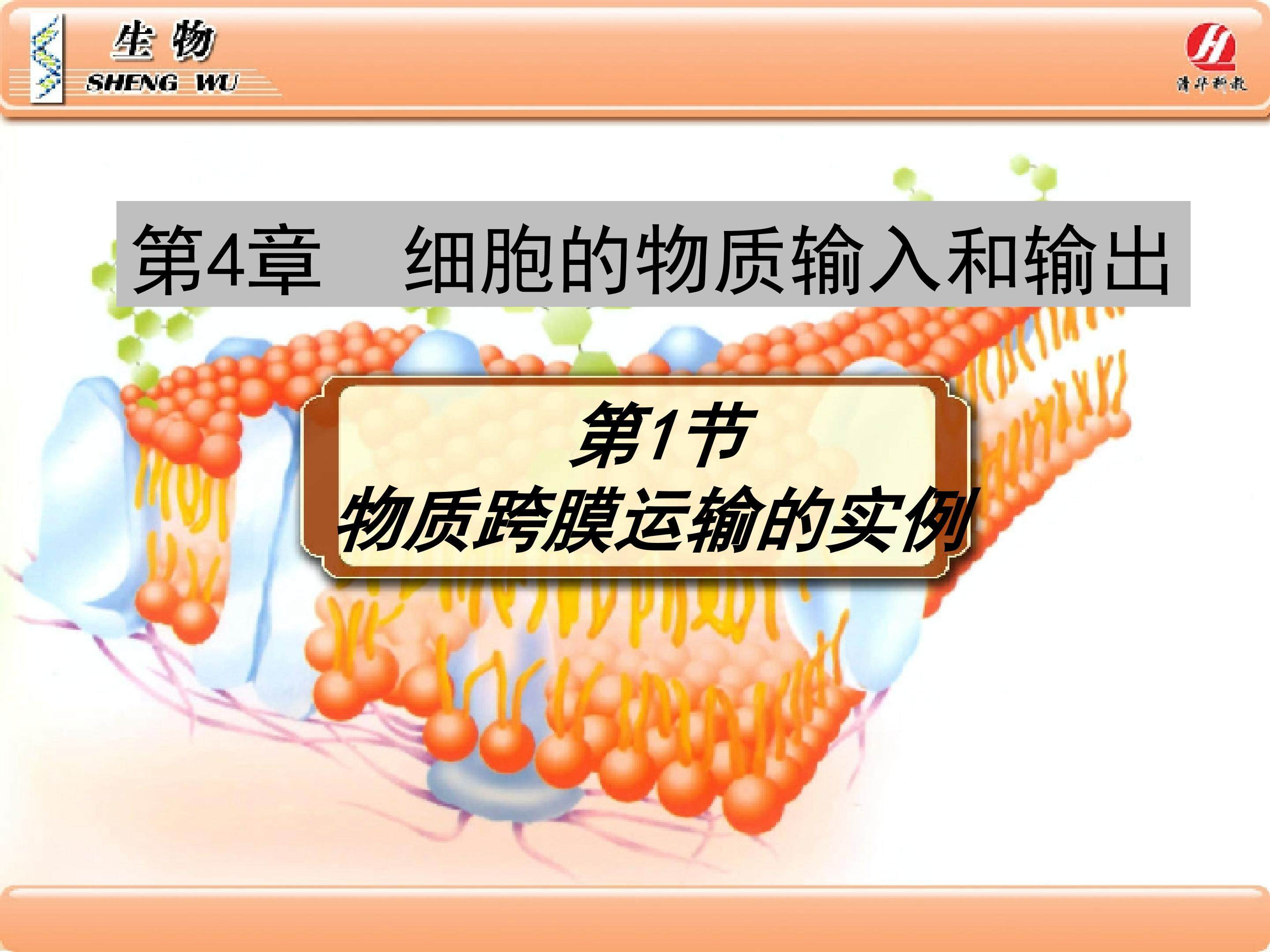 物质跨膜运输的实例