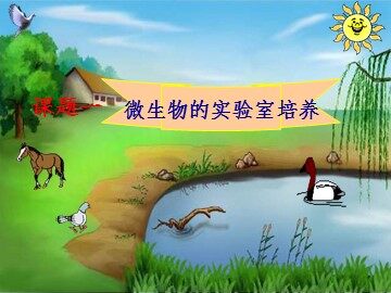 课题1　微生物的实验室培养 