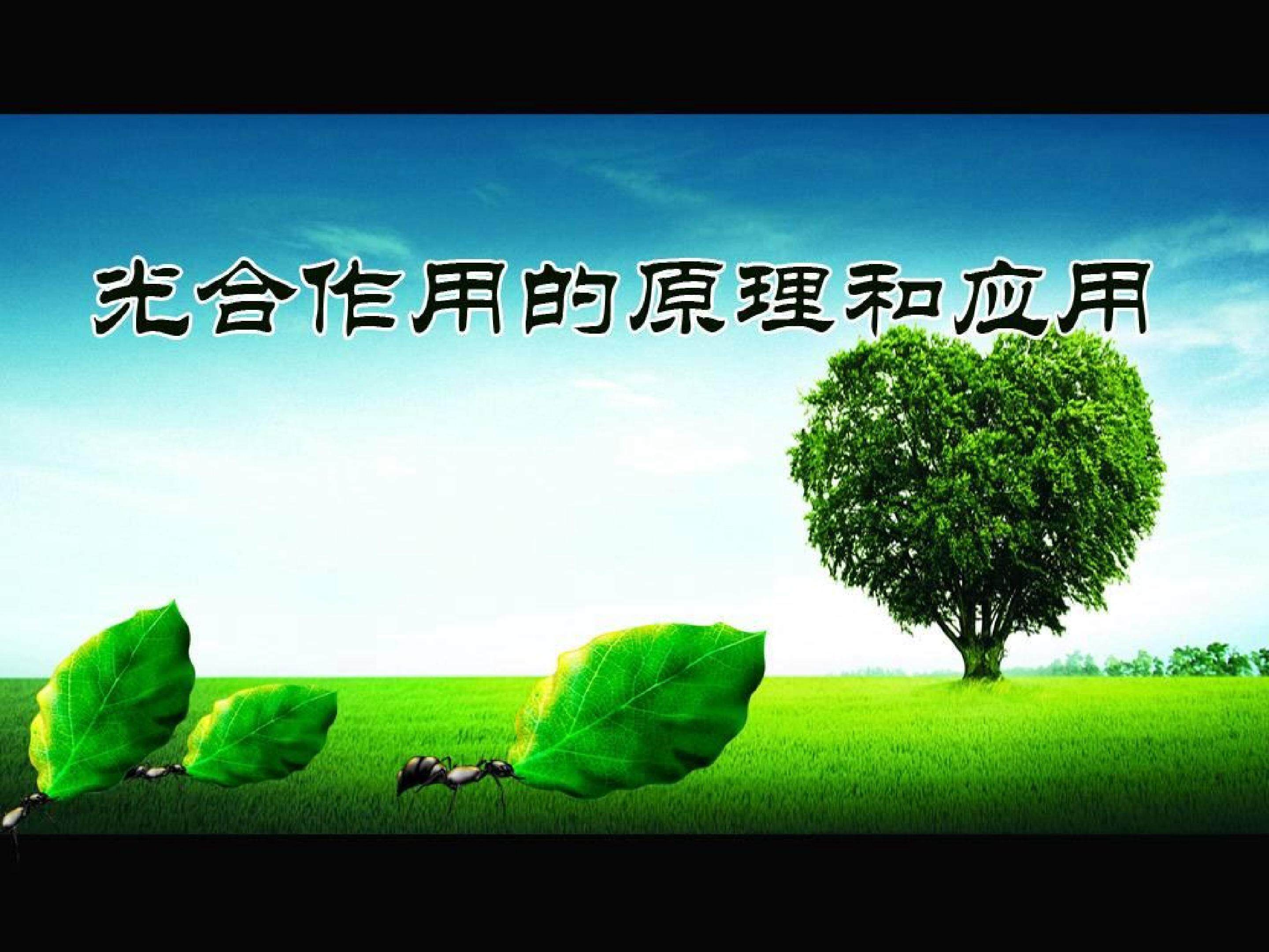 光合作用的原理和应用_课件1