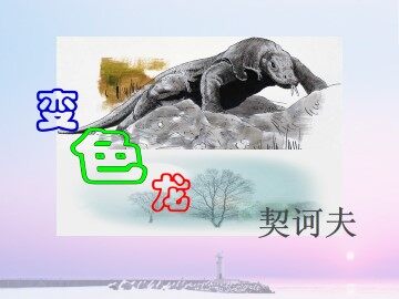 变色龙_课件6