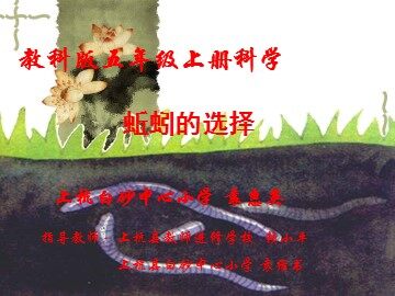 蚯蚓的选择_辅助课件