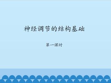 神经调节的结构基础-第一课时_课件1
