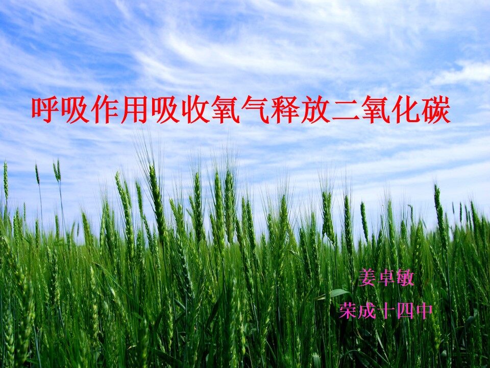 呼吸作用消耗氧气释放二氧化碳