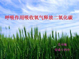 呼吸作用消耗氧气释放二氧化碳