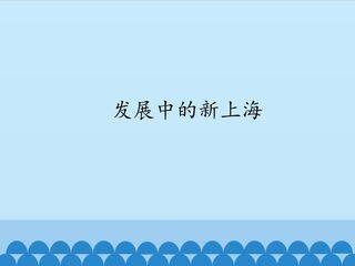 发展中的新上海