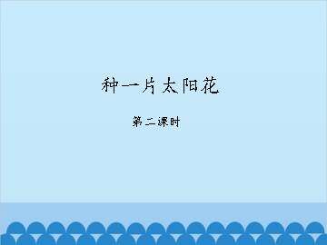 种一片太阳花-第二课时_课件1