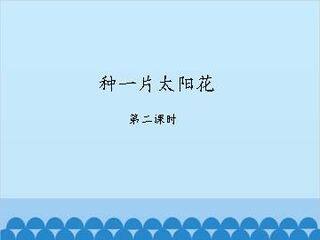 种一片太阳花-第二课时_课件1
