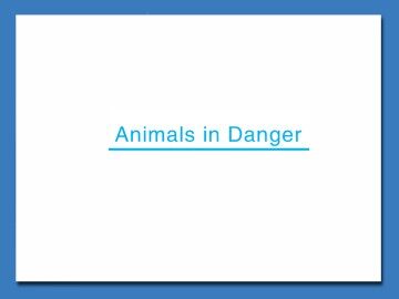 Animals in Danger_课件10