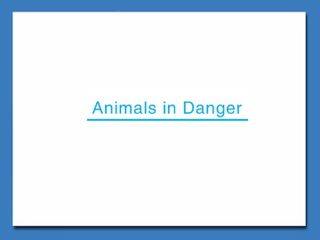 Animals in Danger_课件10