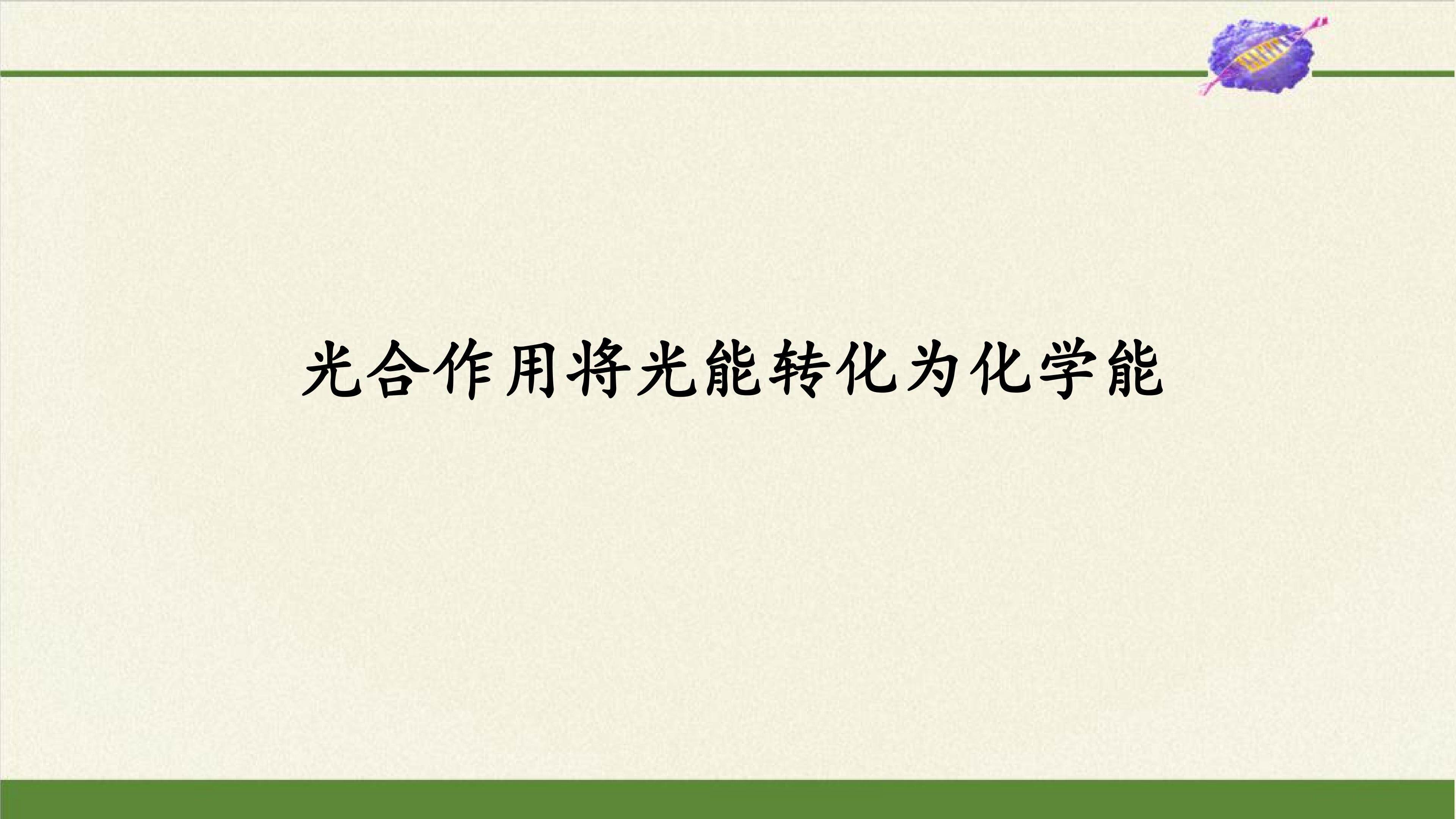 光合作用将光能转化为化学能