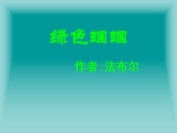 绿色蝈蝈_课件15