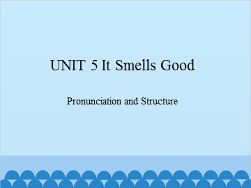 UNIT 5 It Smeels Good Pronunciation and Structure_课件1