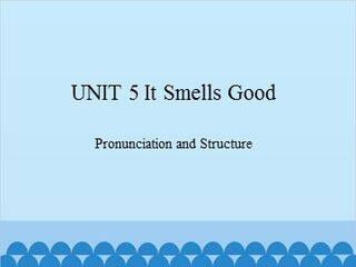 UNIT 5 It Smeels Good Pronunciation and Structure_课件1