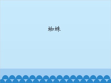 蜘蛛_课件1