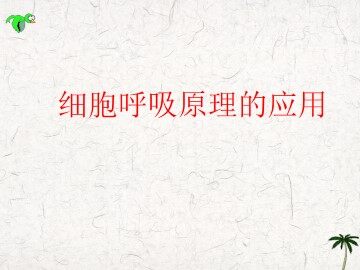 细胞呼吸原理的应用_课件1