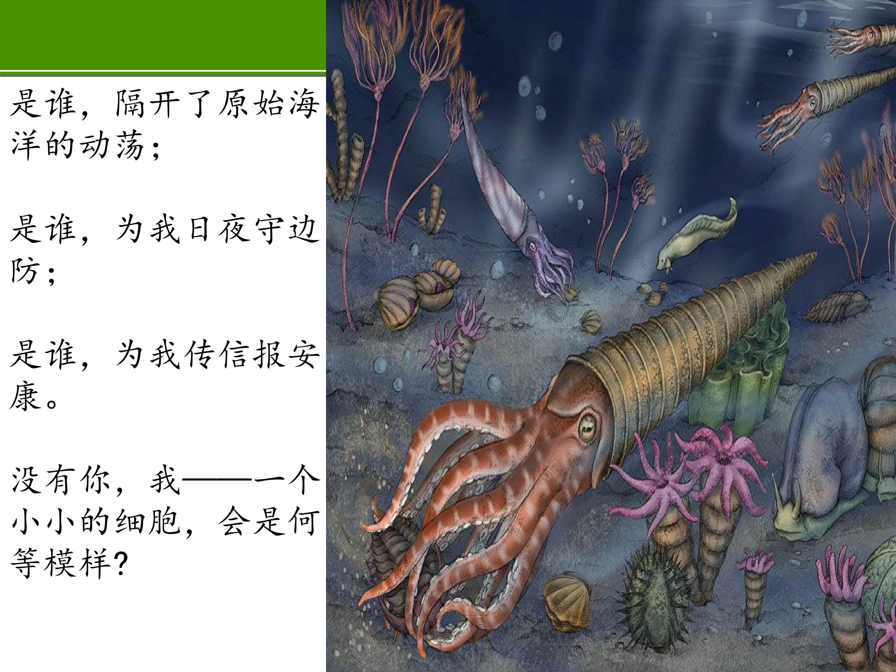 生物膜的流动镶嵌模型