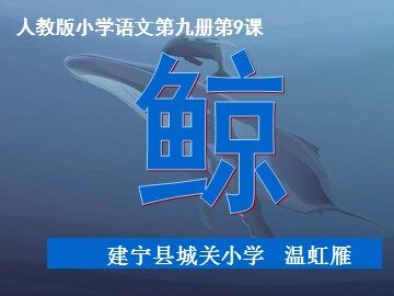 温虹雁 五年级上册《鲸》（改）_20161007202559
