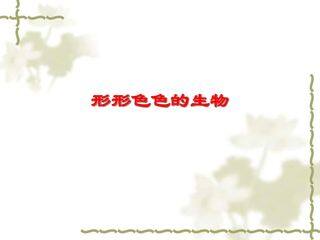 形形色色的生物_课件1