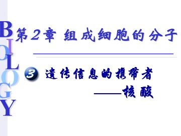 生物高中必修1第二章第三节课件5