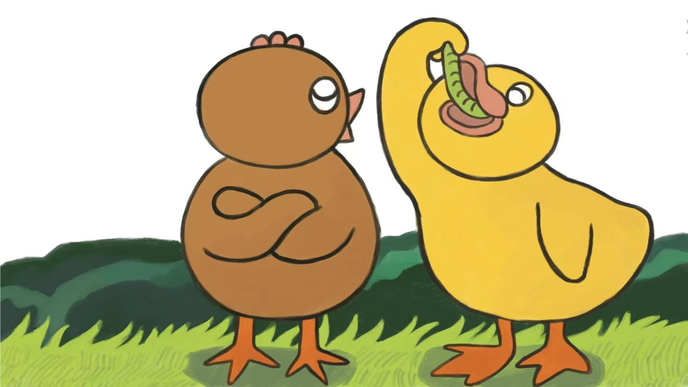 26