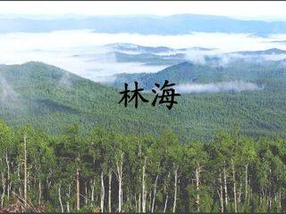 林海_课件1