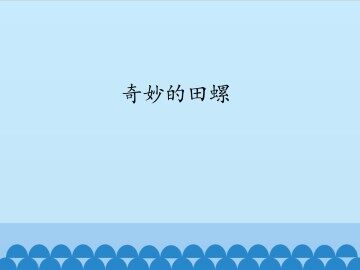 奇妙的田螺_课件1