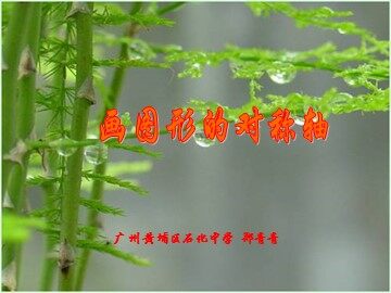 12.1.3画图形的对称轴（平行班）