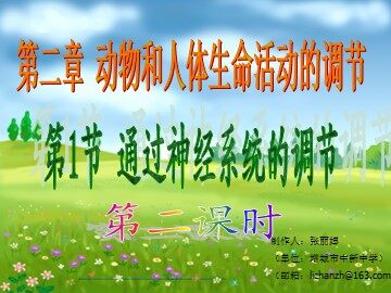生物高中必修3第二章第一节第二课时课件1